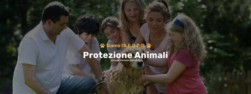 Protezione Animali